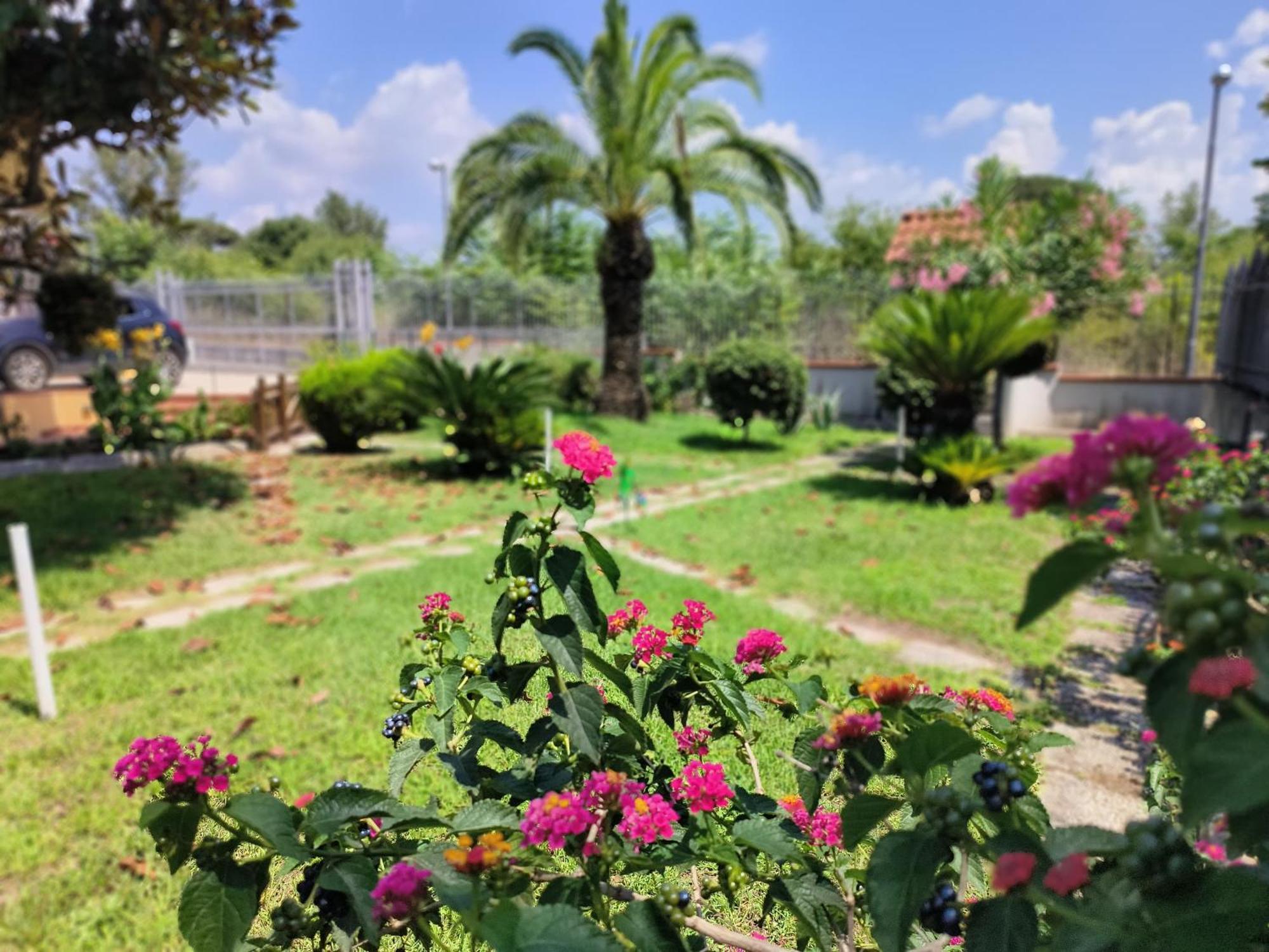 Appartement I Giardini Di Plinio - Elegante E Luminoso. à Boscoreale Extérieur photo
